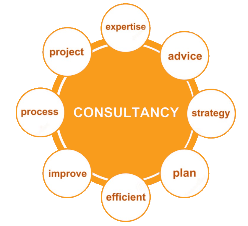 Manufacturing Consultancy